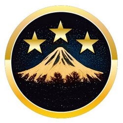 Beat The Allegations